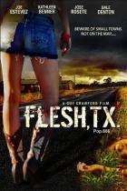 フレッシュ TX / Flesh, TX DVD