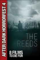 ザ・リーズ / The Reeds DVD