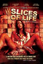 スライス・オブ・ライフ / Slices of Life DVD