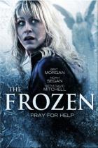The Frozen DVD