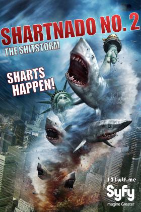 シャークネード カテゴリー2 / Sharknado 2: The Second One DVD