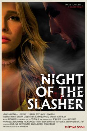 短編ホラー映画 / Night Of The Slasher / 切り裂き魔の夜 DVD