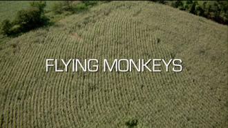 フライング・モンキーズ / Flying Monkeys (2) 画像