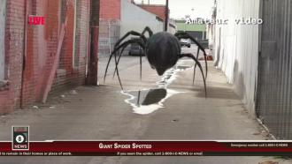 映画|MEGA SPIDER メガ・スパイダー|Big Ass Spider! (10) 画像