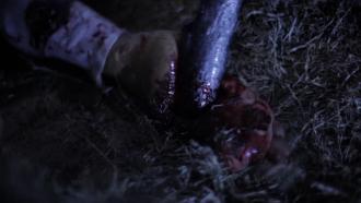 映画|エイリアン・クロール|Crawl or Die (11) 画像