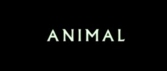 アニマル / Animal (2) 画像