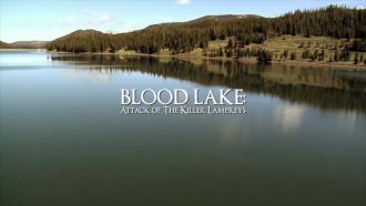 アクア・クリーチャーズ / Blood Lake: Attack of the Killer Lampreys (3) 画像
