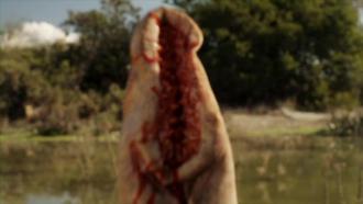 映画|アクア・クリーチャーズ|Blood Lake: Attack of the Killer Lampreys (4) 画像