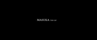 Masuka the cat