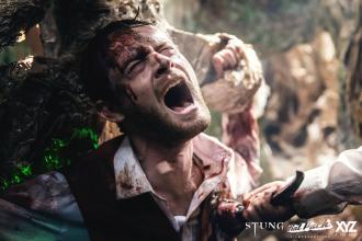 映画|スタング|Stung (8) 画像