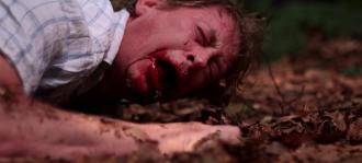 映画|レッドウッド・マサカー|The Redwood Massacre (10) 画像