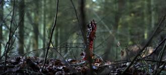 映画|レッドウッド・マサカー|The Redwood Massacre (17) 画像