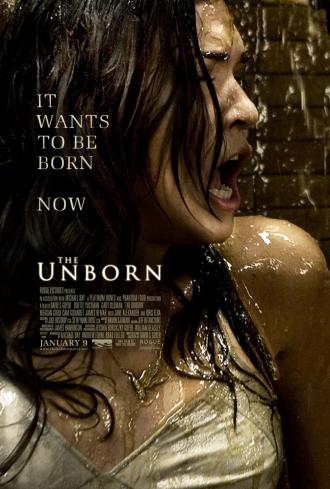 アンボーン / The Unborn (1) 画像