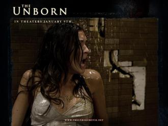 映画|アンボーン|The Unborn (9) 画像