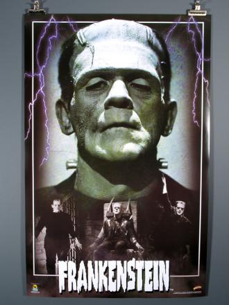 映画|フランケンシュタイン|Frankenstein (12) 画像