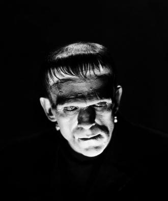 映画|フランケンシュタイン|Frankenstein (26) 画像