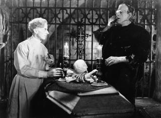 映画|フランケンシュタインの花嫁|Bride of Frankenstein (81) 画像