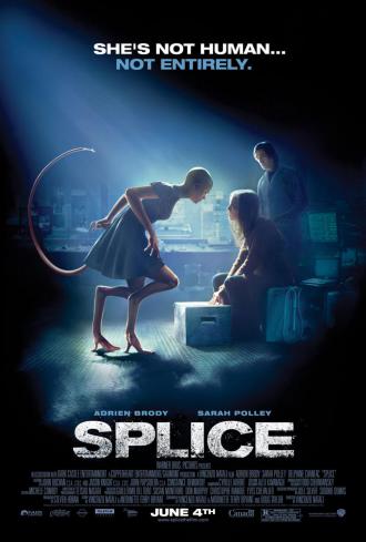 映画|スプライス|Splice (15) 画像