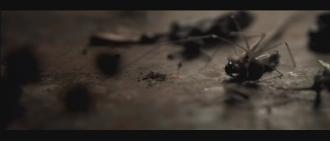 映画|マッド・ホステル|Spiderhole (23) 画像