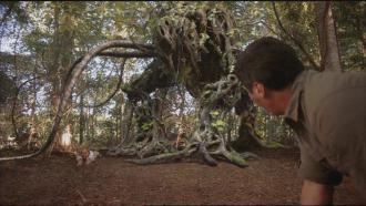 映画|マンドレイク 人喰い植物のえじき|Mandrake (25) 画像