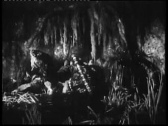 映画|吸血怪獣ヒルゴンの猛襲|Attack of the Giant Leeches (27) 画像