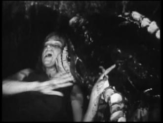 映画|吸血怪獣ヒルゴンの猛襲|Attack of the Giant Leeches (31) 画像