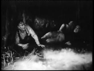 映画|吸血怪獣ヒルゴンの猛襲|Attack of the Giant Leeches (35) 画像